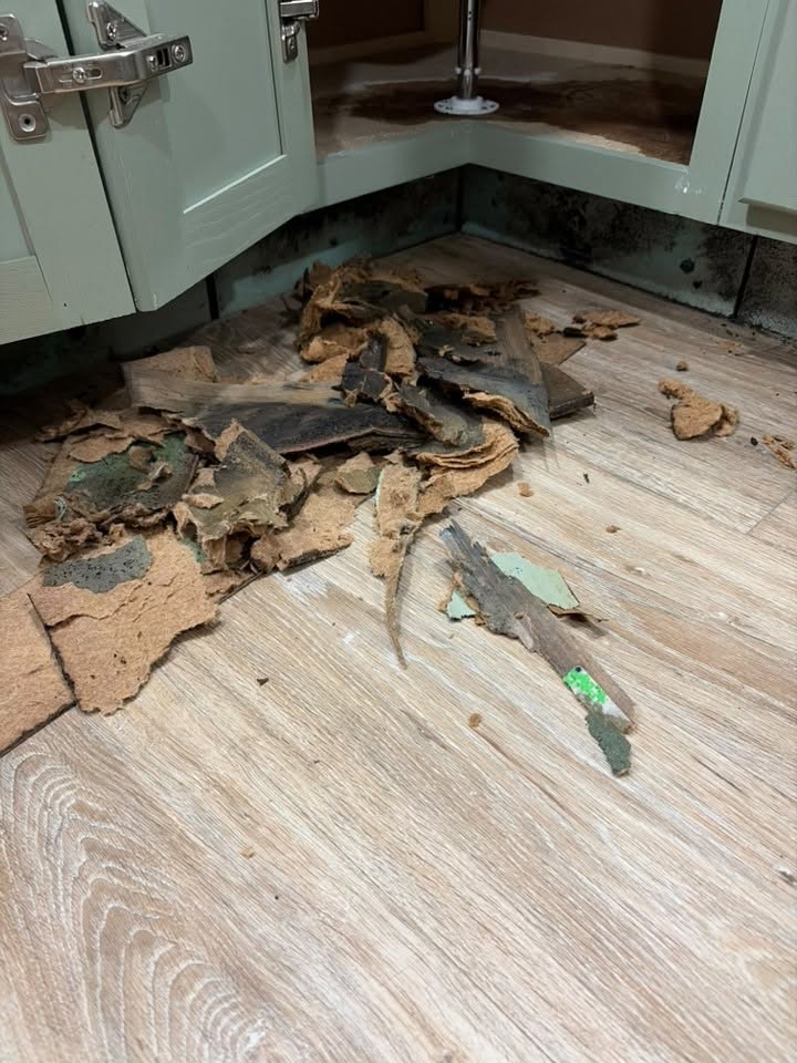 Mold-damaged lower kitchen cabinet during removal